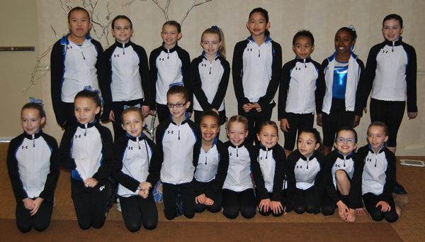 2015-level 3-team