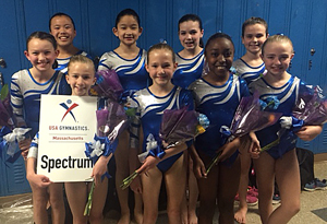 level 3 music gymnastics
